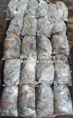 9월10일 굿 대박 조황 군산 홈런호 야간 문어 마무리 조황 …