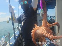 [진해] "여밭돌문어" 강풍에 1500g800g700g외 덩치들과~개인…