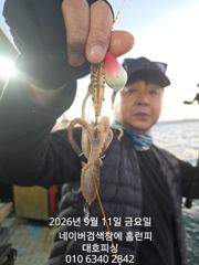 대호피싱호 5분 모시고 쭈꾸미 시작합니다 사리물때 걱정하지 마세요 잘 나와요