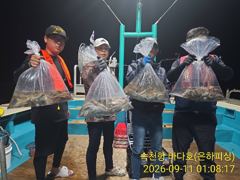 내만 문어 황금 문어 난리 났다 키로kkk 최대 12수 금요일 야간 예약가능 달립니다