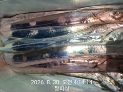 ((먼바다 왕갈치))내일 토요일 먼바다 3지4지들 팍팍 쿨러만땅 내일ㆍ토일(예약가능