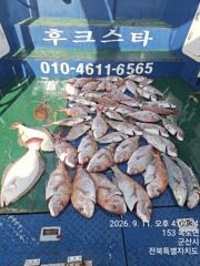 야미도후크스타호 9/11(금) 참돔 조황