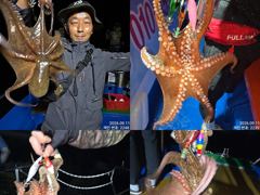 11일 조항.오늘도 끝임없이 올라와 잡고온 야간~돌문어 마리수 잡으러 출조 갑니다@ 오늘,일요일~몇 자리 예약가능