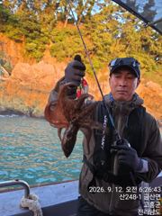 대사리도끄떡없는 2차피크시즌