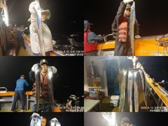 (뉴~패밀리호) 백도권 마릿수 쿨러 조황입니다.