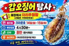 <뉴오리온호> 쭈꾸미낚시 실시간조황(12일)