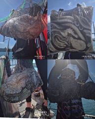 <고흥녹동>청룡호. 12일 돌문어 대사리물때 조황소식!