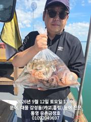 [통영] 통영 금정호 문어선상 미릿수 손맛! 내일 자리있습니다
