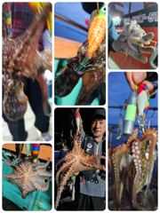 [포항] 포항돌문어어제조황 오늘토요일 모집중입니다