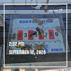 해양레저 무늬오징어 돌문어 조황