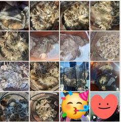 ♡9월12일 여수야호 쭈꾸미조황 #개인기록갱신 #14일부터자리여…