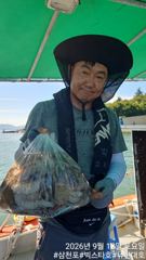 [사천] 빅스타호 12일 문어 호조황입니다