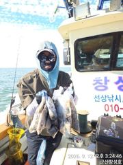 12일, 군산쭈꾸미~물때 상관없는 굿조황~점점 좋아지는 쭈구미~내일도 갑니다~군산낚시프라자 창성호