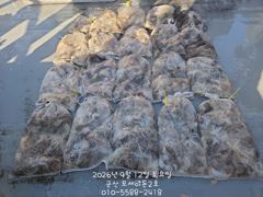 12일, 군산쭈꾸미~날씨 좋으니가 물때가 무색, 호조황 국면~점점 좋아지는 쭈구미~내일도 갑니다~군산낚시프라자 포세이돈 2호