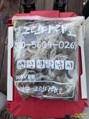 여수그린나래호/9월11일,12일 여수쭈꾸미낚시조황!!(다음주 예…