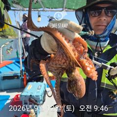 [사천] 문어 장원 17마리