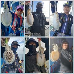 [무창포아파치호]9월12일(토),사릿물때,쭈갑출조,느나느나따박따박~굵은씨알과마릿수로망태기푸짐한조황~ㅎ화,수요일(15일,16일)자리여유,전화주세요~010-8422-0866