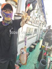12일, 군산쭈꾸미~날시만 좋다면 물때 상관없는 굿조황~점점 좋아지는 쭈구미~내일도 갑니다~군산낚시프라자 나드리호