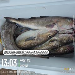 9/12 군산 "쭈꾸미" 최종조황~!! [군산 갤럭시호]