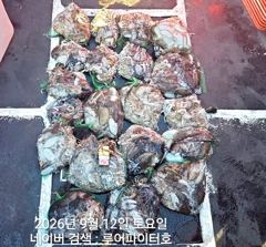 루어파이터호-9/12 토 [8물] 쭈/갑 조항 입니다.