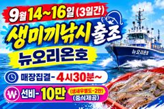 <발키리호> 쭈꾸미 오후 마무리 조황(12일)-내일 쭈꾸미 종일,오후 자리있습니다.