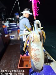 주간에는 대삼치가 팍팍물어주고~야간에는 키로급무늬가 퍽퍽 물어주…