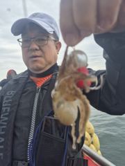 9월12일 쭈꾸미 갑오징어 조황