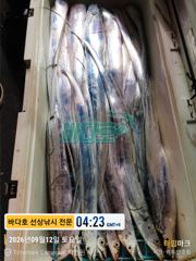 [[대림낚시바다호]] 왕갈치 출조 잡았다 대물~~ 감사합니다
