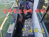 오늘도 쭈선생 잘 나와 주내요 굿샷~~~~~