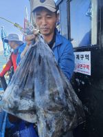 9월12일 씨헌터호 갑오징어 조황 입니다