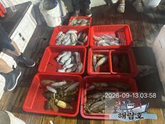9월12일 무늬오징어 팁런조과입니다