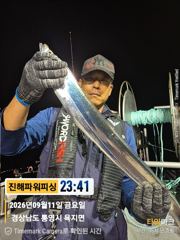 [갈치/텐빈/텐야]긴휴식끝~2.5~3지오버까지 쿨러조황까지[월.화]예약가능
