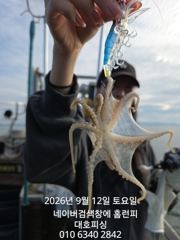 대호피싱 17분 독배 14분의 임대 낚시대 하지만 스파르타식 강습으로 쭈꾸미 느나느나