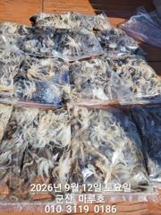 9월12일 쭈꾸미
