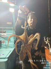탑클라스 야간 돌문어. 조황입니나~~~^^