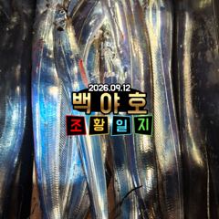 9.12 제주백야호 선상 갈치 조황