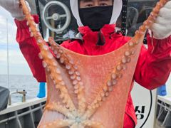 대박호 문어 조황입니다