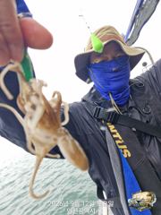 9월 12일 미르호 쭈꾸미 조황입니다