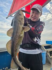 공현진아라호 대구타이라바