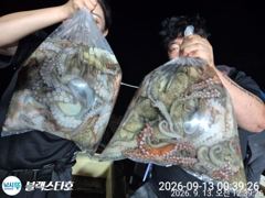 [사천] 토요일 야문 오늘도 장원30수ㅇ숸