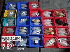 [팁런]감자는,가라,씨알"굿,굿,굿"" (일요일,소수인원,황제낚시,출항확정)