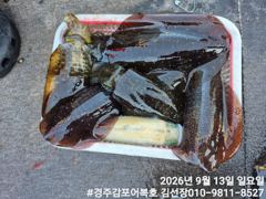 새벽무늬도 잘올라와 주었네요!