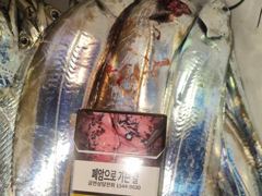 [진해] 내만갈치담배갑싸이즈까지마릿수굿~쿨러만~당