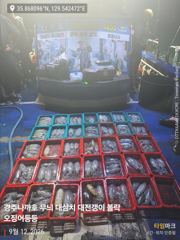 12일 야간 무늬팁런 선내 128수 오버 대삼치는 만쿨이요 ~~~