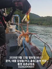 [통영] 통영 금정호 문어선상 마릿수 시작합니다 내일오후 자리있어요