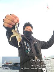 13일, 군산쭈꾸미~날씨만 좋다면 물때 상관없는 굿조황~점점 좋아지는 쭈구미~실시간~내일도 갑니다~군산낚시프라자 하이원호