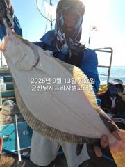 9월12일 "대광어 날마다 난리"~농어,우럭등 오늘도 예외없이…