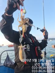 13일, 군산쭈꾸미~ 싸이즈도 점점~물때 상관없는 조황~오전반 굿조황~군산낚시프라자 월명호