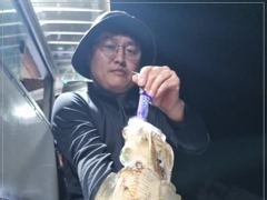 무늬오징어 마리수조황~오늘 17시 출항 자리완전텅텅