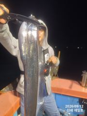 [13일,준내만갈치]4지,5지 빵좋은돼지갈치들많이잡고!!! 월화예약가능!! 자리널널합니다~